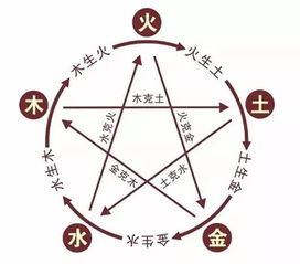 五行属木怎么发财起名