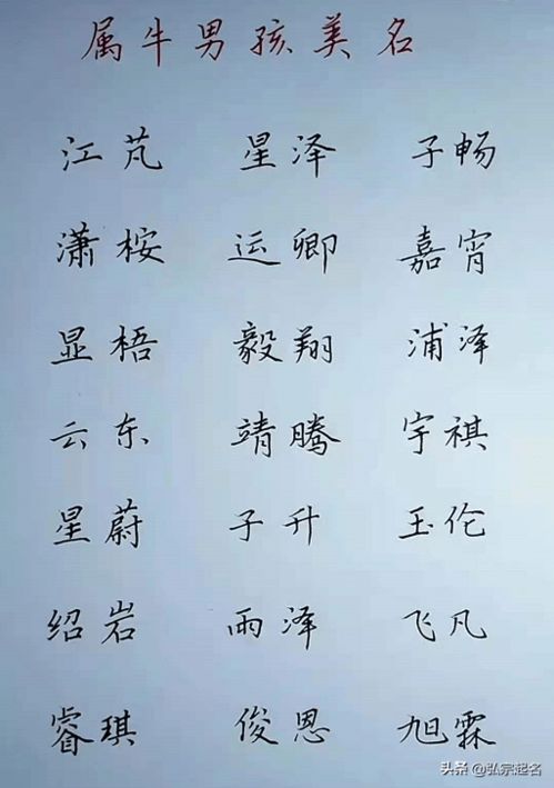 姓胡的属牛男孩怎么起名