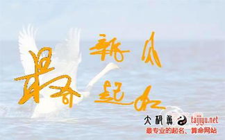 怎么给月嫂公司起名字