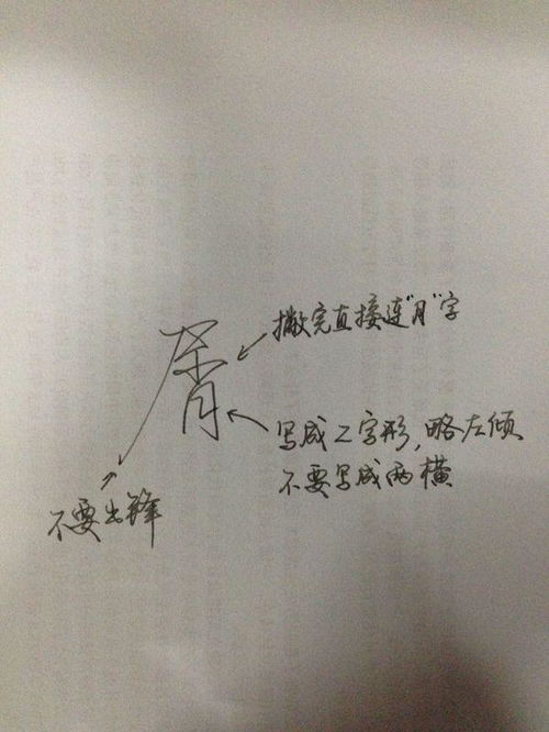 起名字的要点怎么写