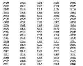 姓武的怎么起名字