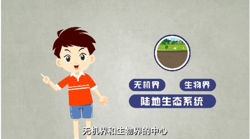环境科普视频起名怎么起
