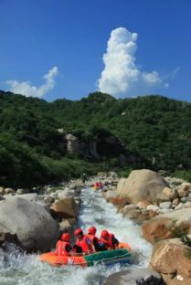 漂流群怎么起名字