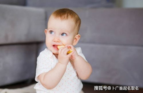 南海牛宝宝起名怎么取