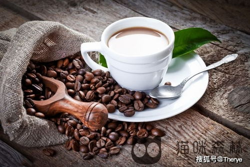 怎么给咖啡庄园起名好听 怎么给咖啡庄园起名好听