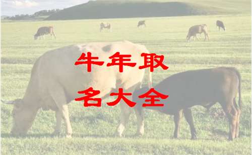 属牛的开店怎么起名