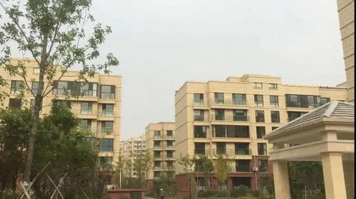 潍坊房子怎么起名字