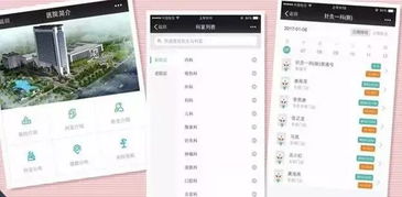 智慧账号怎么起名字