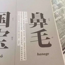 孙氏兄妹怎么起名子