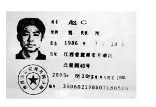 牛和张怎么起名