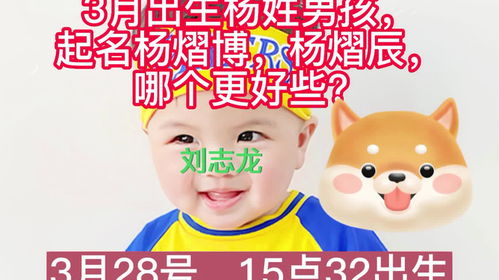 男孩杨怎么起名了