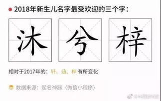 起名中间字怎么取名