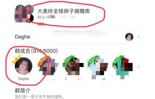 粉丝群怎么起名