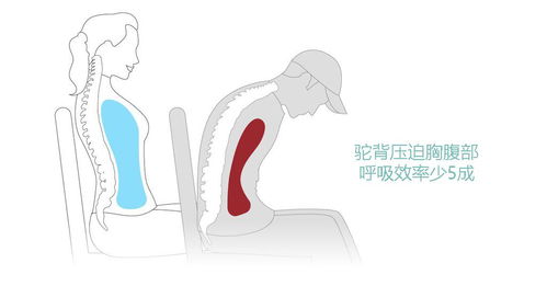 矫正姿势怎么起名