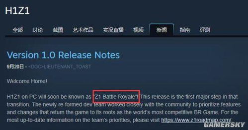 h1z1怎么起名