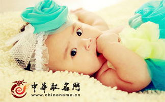 小宝贝怎么起名字