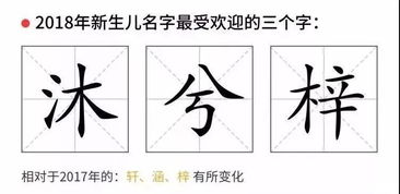 姓揣怎么起名字