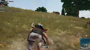 pubg怎么起名字