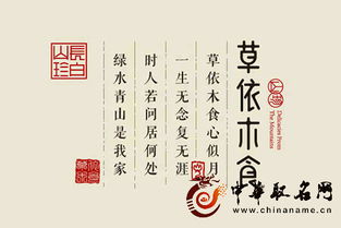 养生怎么起名字