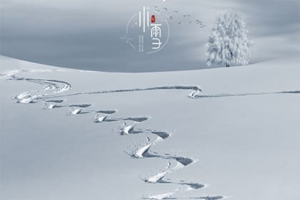 雪字怎么起名好听
