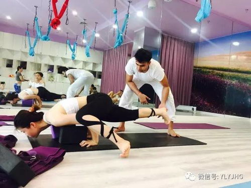 瑜伽老师怎么起名