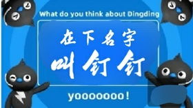 钉怎么起名