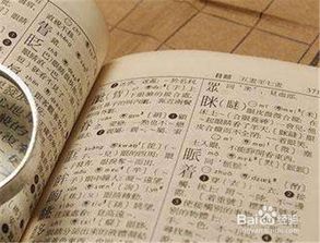 要怎么起名