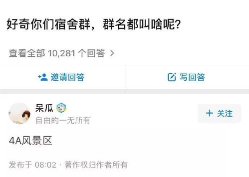 群怎么起名字