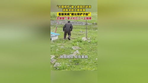 大疆被土拨鼠叼进洞