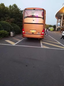大巴司机开车看直播