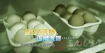 一家三口吃鸡蛋中毒