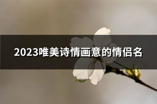 情侣名字诗意唯美一对(情侣名字诗意唯美一对女生)