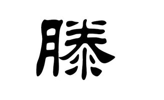 周姓男宝宝起名大全2021(周姓男宝宝起名大全2021属虎)
