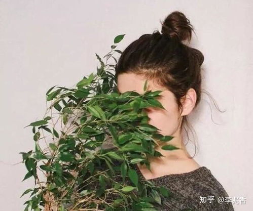 可爱的网名女生小清新(可爱的网名.女生)
