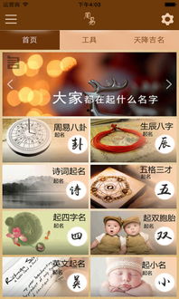 周易取名网站(周易取名免费查询大全)
