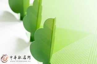 有创意的农业公司取名(搞农业公司起名字)