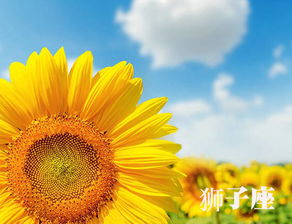 女人幸运又聚财的微信名字(微信昵称招财好运的女)
