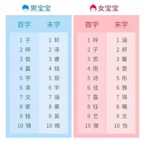 新生儿名字大全查询(新生儿名字大全查询系统)