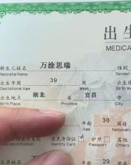 起名网免费取名网名(起名网免费取名网名女)