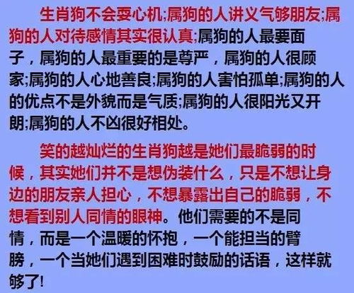 算命最准确的网站(算命特准的网站)