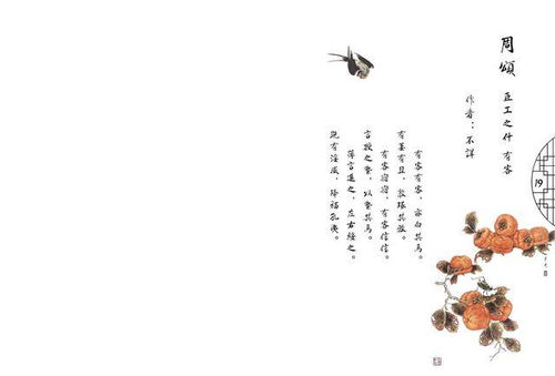 诗经女孩名龙宝宝(诗经取名龙凤宝宝)