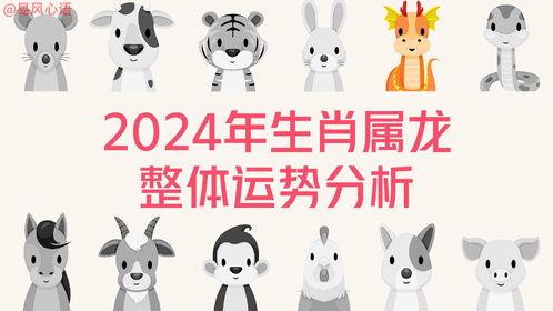 2024年属什么生肖(2025什么生肖)