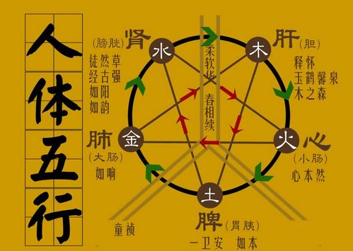 怎么查宝宝五行缺什么(查宝宝五行缺什么免费)