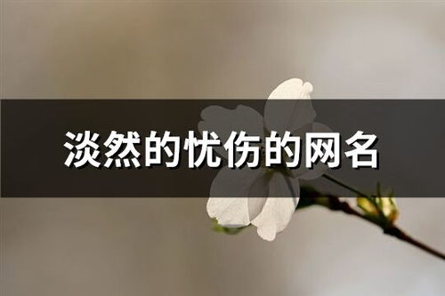 心境淡然的网名(心境淡然的网名意思)