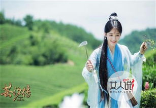 芸汐传(芸汐传简介)