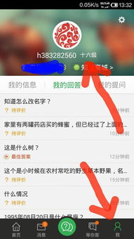 百度取名字(百度名字怎么取)