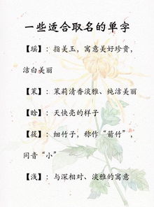 适合取名的单字(适合取名字的字)