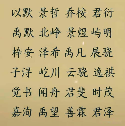 李姓有诗意的男孩名字(李姓好听的男孩名)