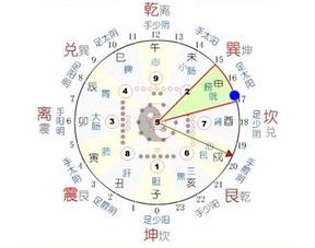 出生时辰五行查询起名(出生时辰五行分析)