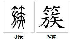 姆组词(簇组词)